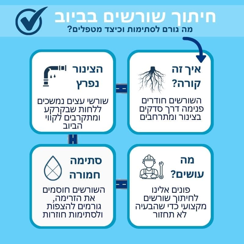 חיתוך שורשים בביוב